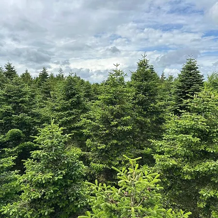 6 Person In Hovborg-by Traum 別荘 *