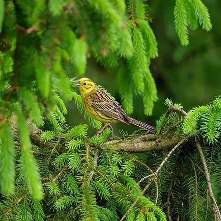 別荘 6 Person In Hovborg-by Traum