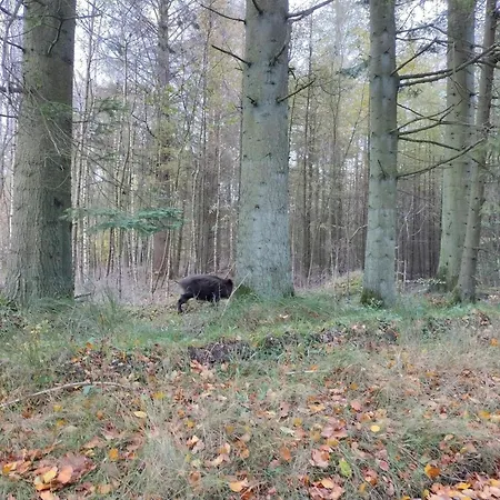 6 Person In Hovborg-by Traum 別荘 ホーフブルグ