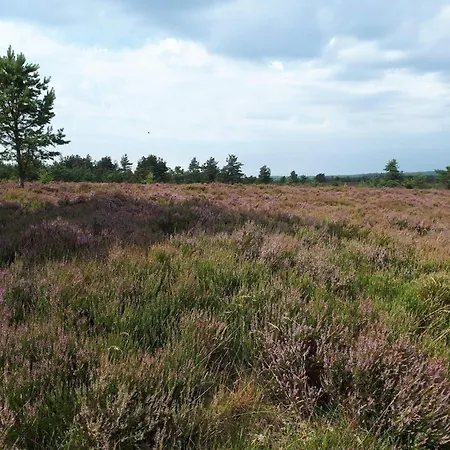 別荘 6 Person In Hovborg-by Traum ホーフブルグ