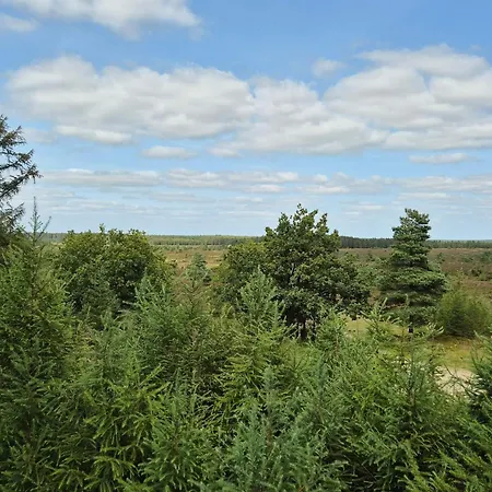 6 Person In Hovborg-by Traum * ホーフブルグ