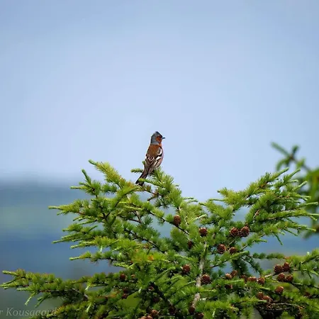 6 Person In Hovborg-by Traum 別荘