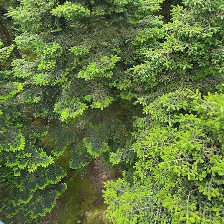 6 Person In Hovborg-by Traum 別荘 *