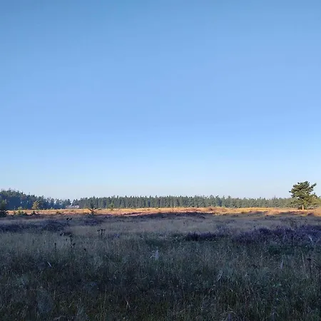 6 Person In Hovborg-by Traum * ホーフブルグ